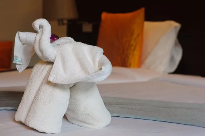 towel elephant